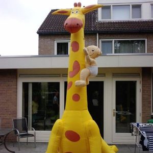 Geboorte giraffe