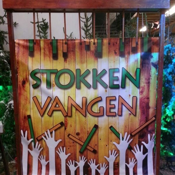 Stokken vangen (elektrisch)