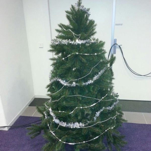 Kerstboom 2 meter