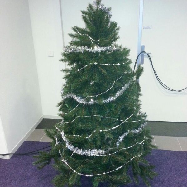 Kerstboom 3 meter